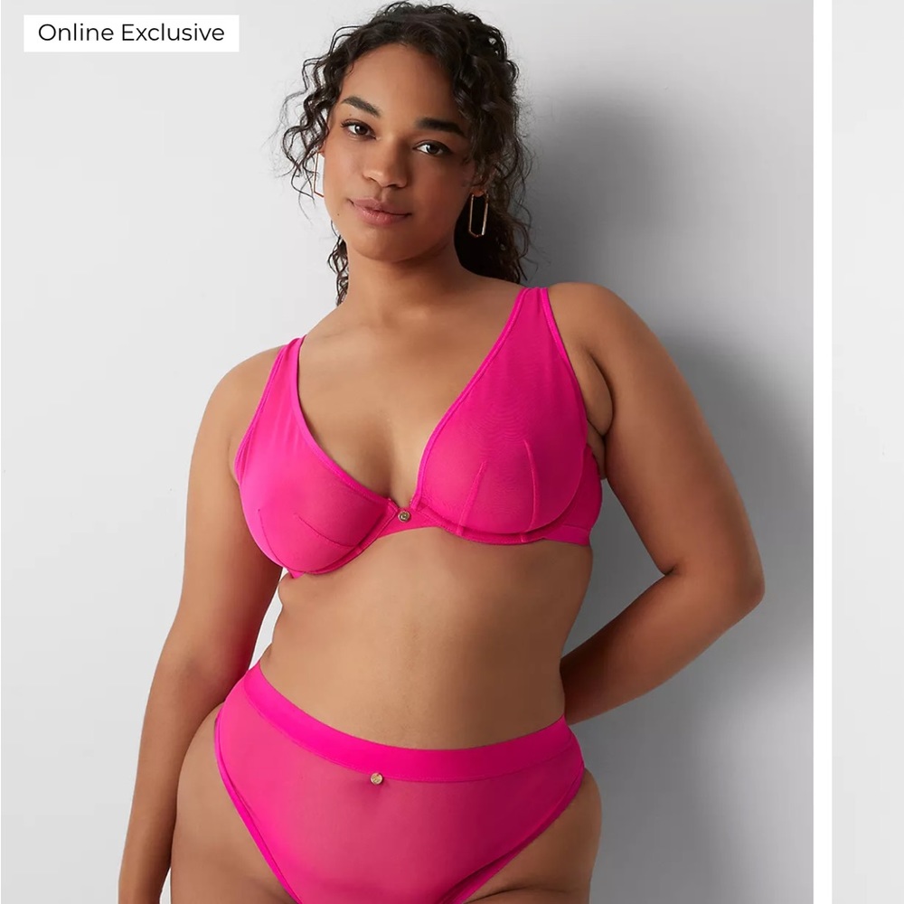 Cacique Mesh Unlined High Apex Bra 36DDD New